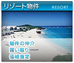 リゾート物件 物件の仲介買い取り価格査定